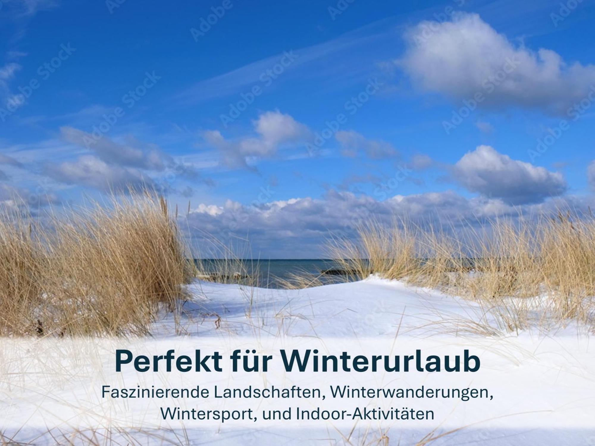Zinnowitz, Paradies Am Wald - Wg 05 Exteriér fotografie