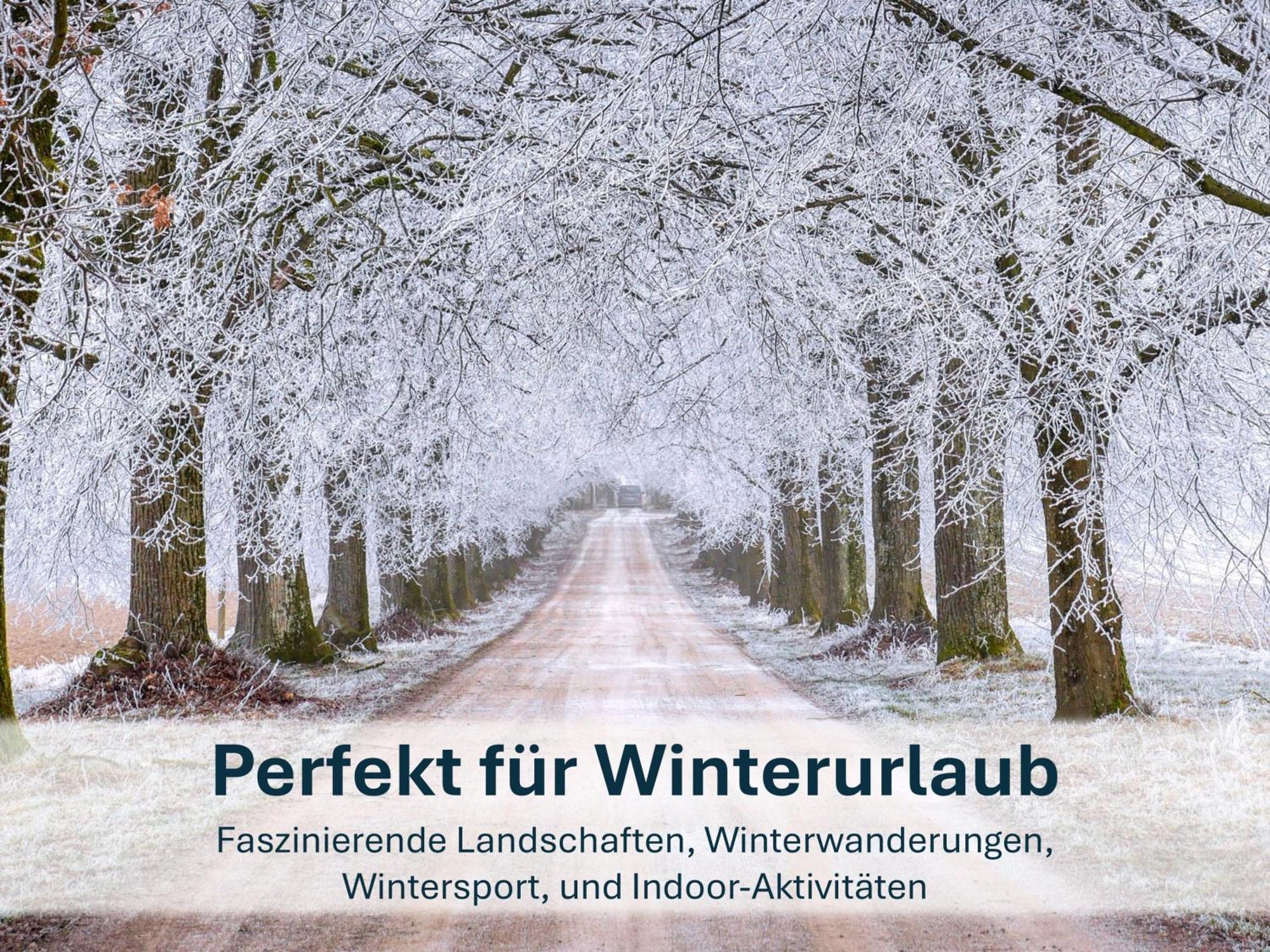 Zinnowitz, Paradies Am Wald - Wg 05 Exteriér fotografie