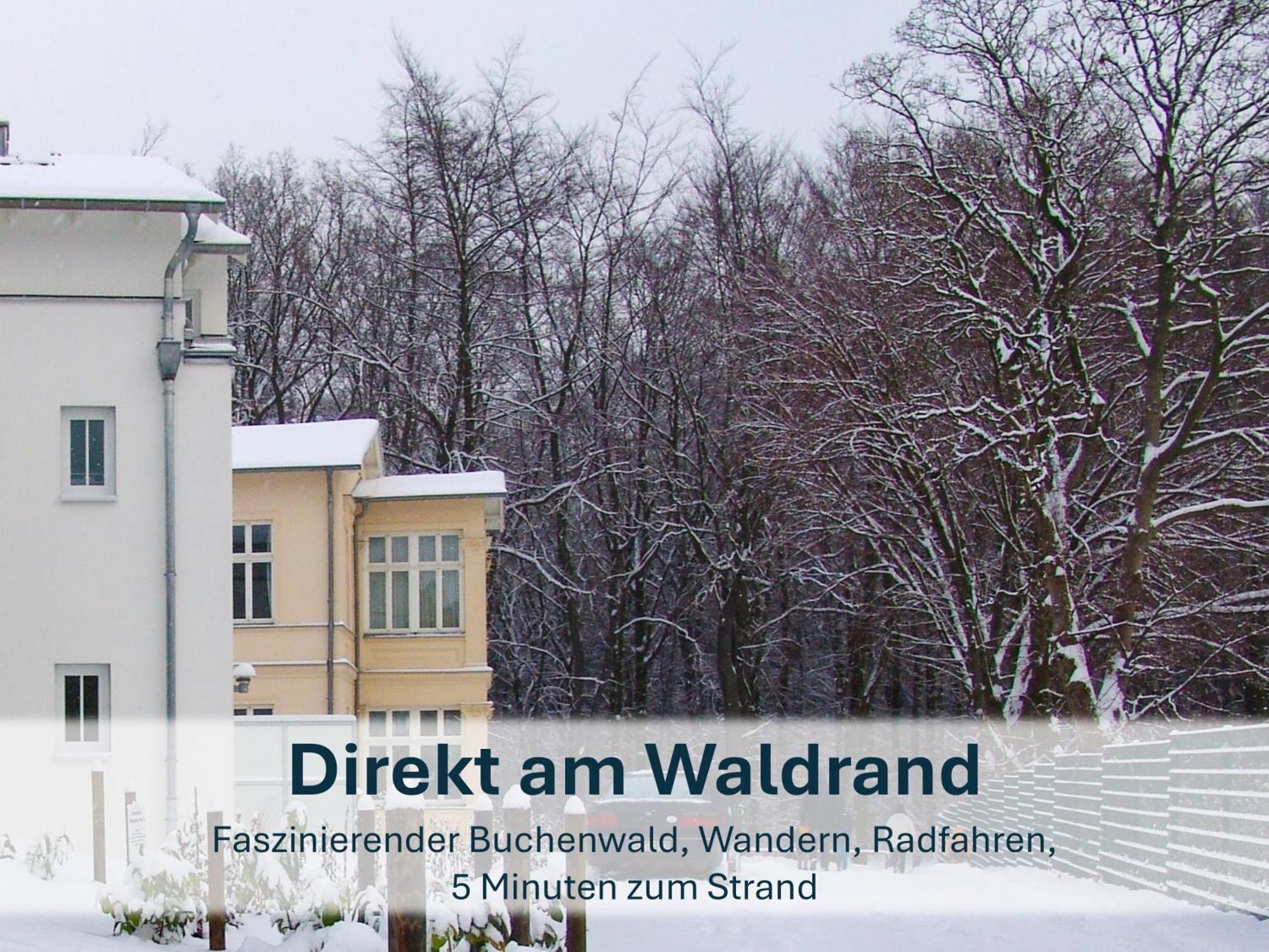 Zinnowitz, Paradies Am Wald - Wg 05 Exteriér fotografie